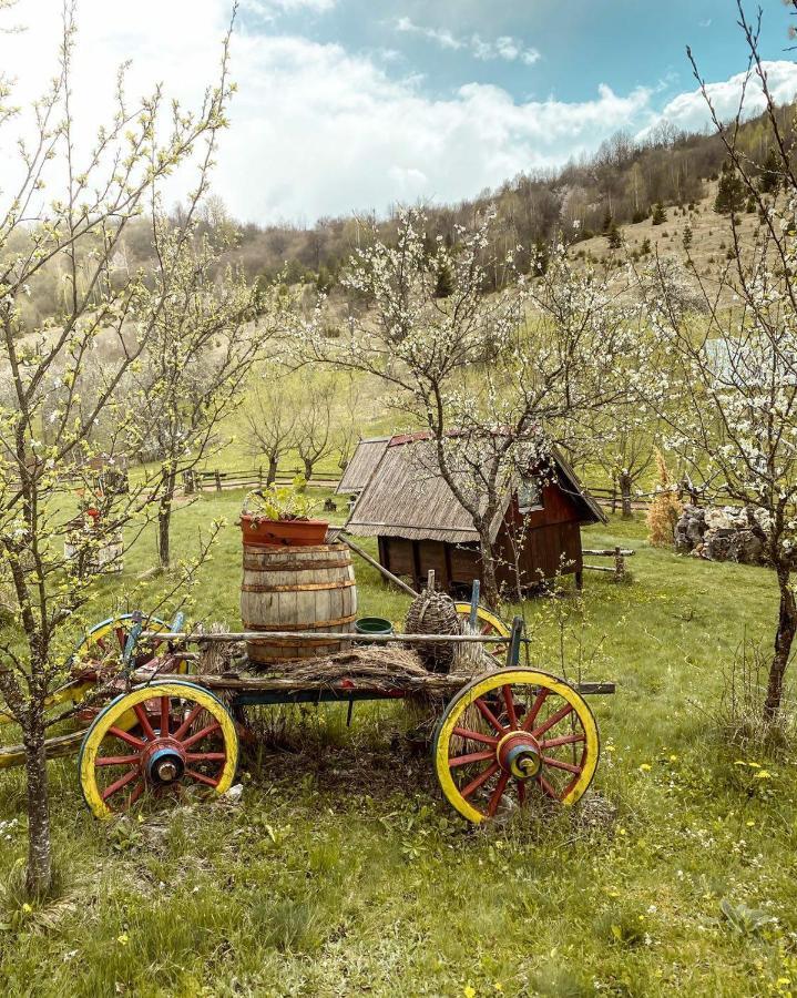 Log Cabin Uvac Nova Varoš Quarto foto